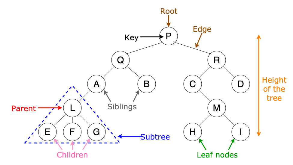 Tree